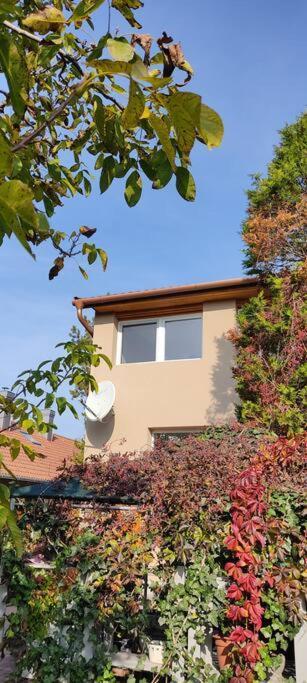 Flora House 3 Minutes From Lake Balaton Keszthely Exterior foto